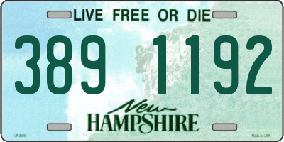 NH license plate 3891192