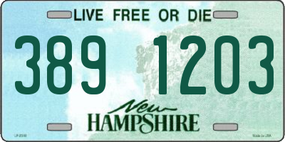 NH license plate 3891203