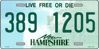 NH license plate 3891205
