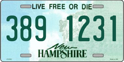 NH license plate 3891231