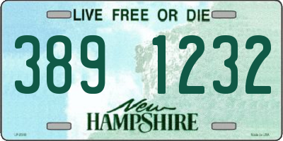 NH license plate 3891232