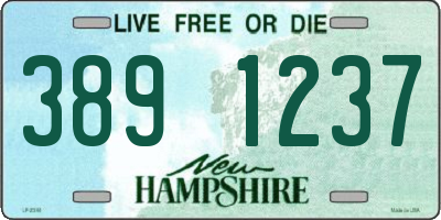 NH license plate 3891237