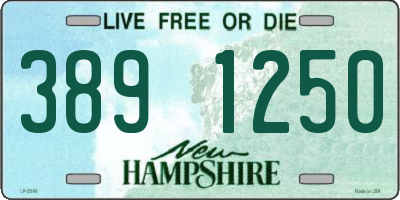 NH license plate 3891250