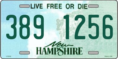 NH license plate 3891256