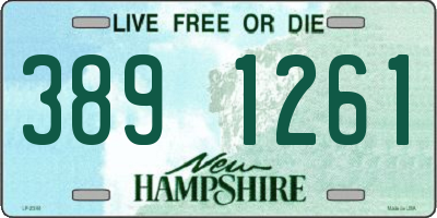 NH license plate 3891261
