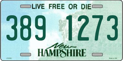 NH license plate 3891273