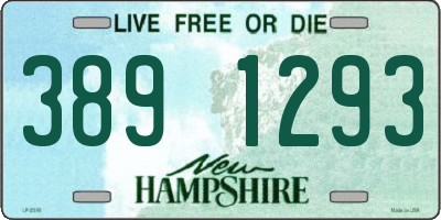 NH license plate 3891293