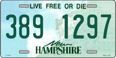 NH license plate 3891297