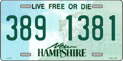 NH license plate 3891381