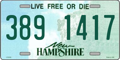 NH license plate 3891417