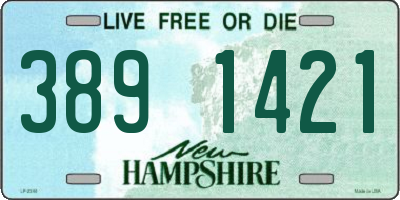 NH license plate 3891421