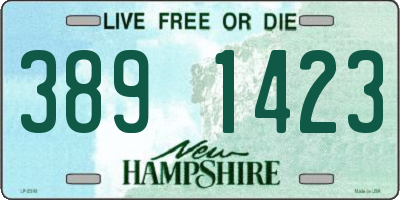 NH license plate 3891423