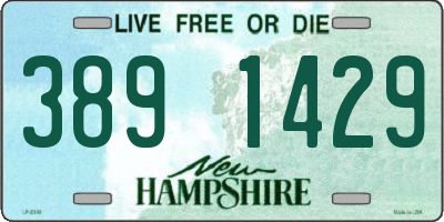 NH license plate 3891429