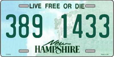 NH license plate 3891433