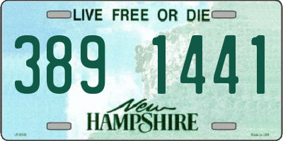 NH license plate 3891441
