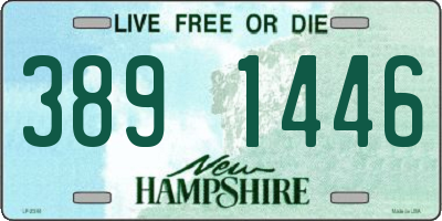 NH license plate 3891446