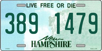 NH license plate 3891479