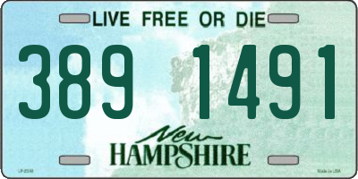 NH license plate 3891491