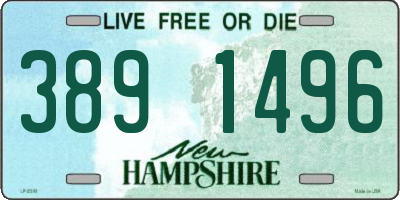 NH license plate 3891496