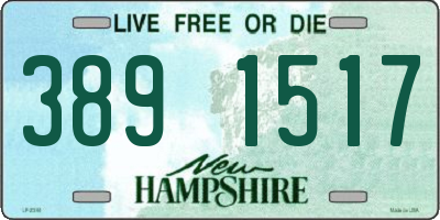NH license plate 3891517