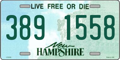 NH license plate 3891558