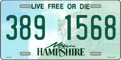 NH license plate 3891568