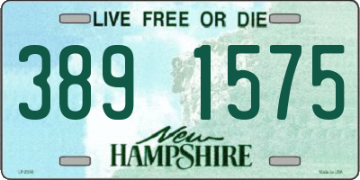 NH license plate 3891575