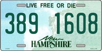NH license plate 3891608