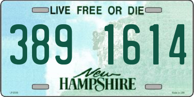 NH license plate 3891614