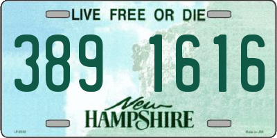 NH license plate 3891616