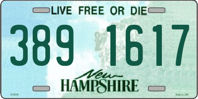 NH license plate 3891617