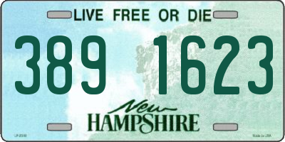 NH license plate 3891623