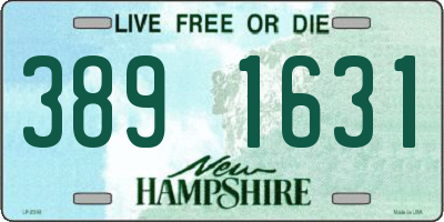 NH license plate 3891631
