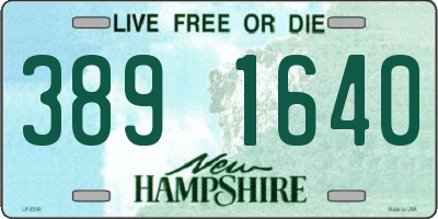 NH license plate 3891640