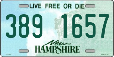 NH license plate 3891657