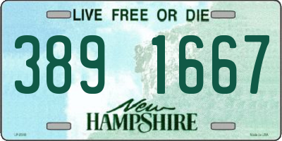 NH license plate 3891667