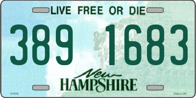 NH license plate 3891683