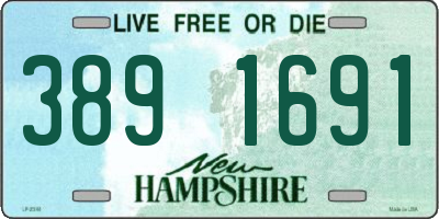 NH license plate 3891691