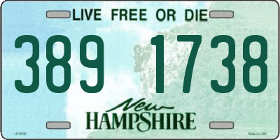 NH license plate 3891738