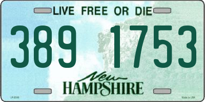 NH license plate 3891753