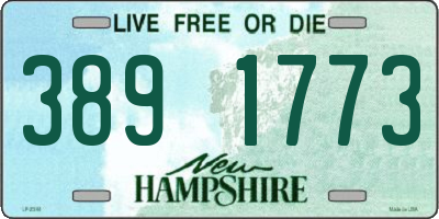 NH license plate 3891773