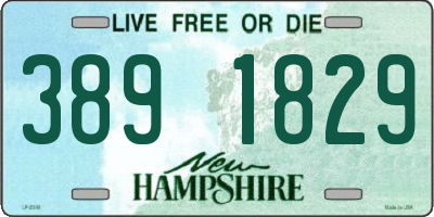 NH license plate 3891829