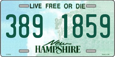 NH license plate 3891859