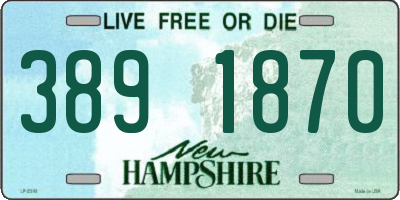NH license plate 3891870