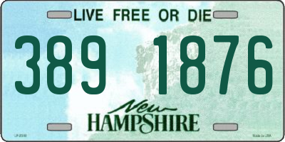 NH license plate 3891876