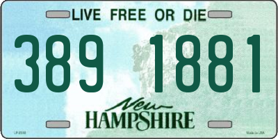 NH license plate 3891881