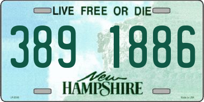NH license plate 3891886