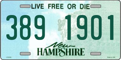 NH license plate 3891901
