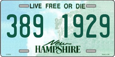 NH license plate 3891929