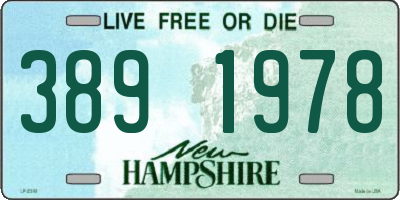 NH license plate 3891978